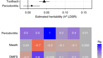 Tanden Tips - Kiespijn