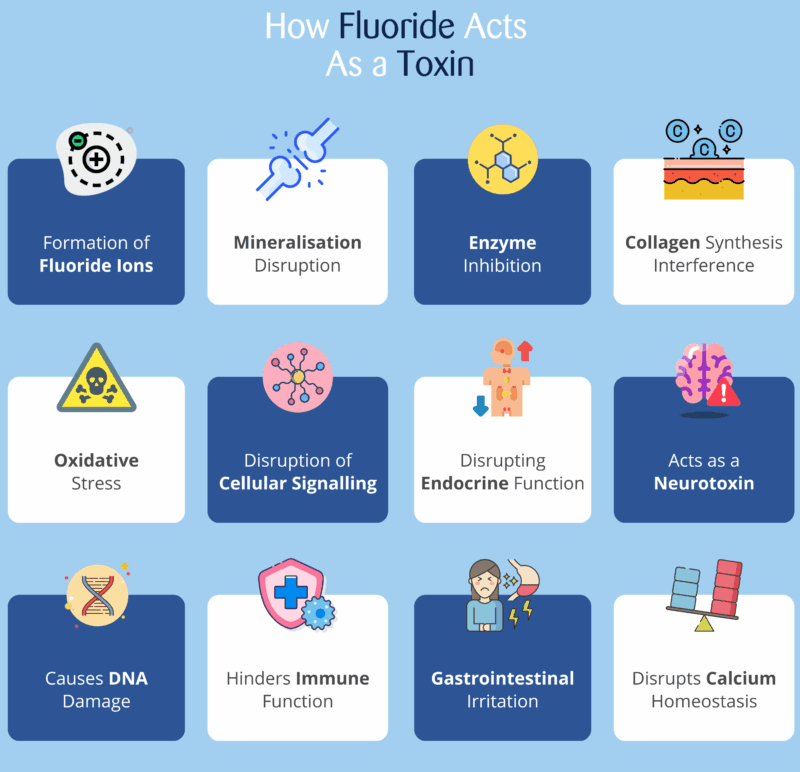 Tanden Tips - Fluoride Behandeling
